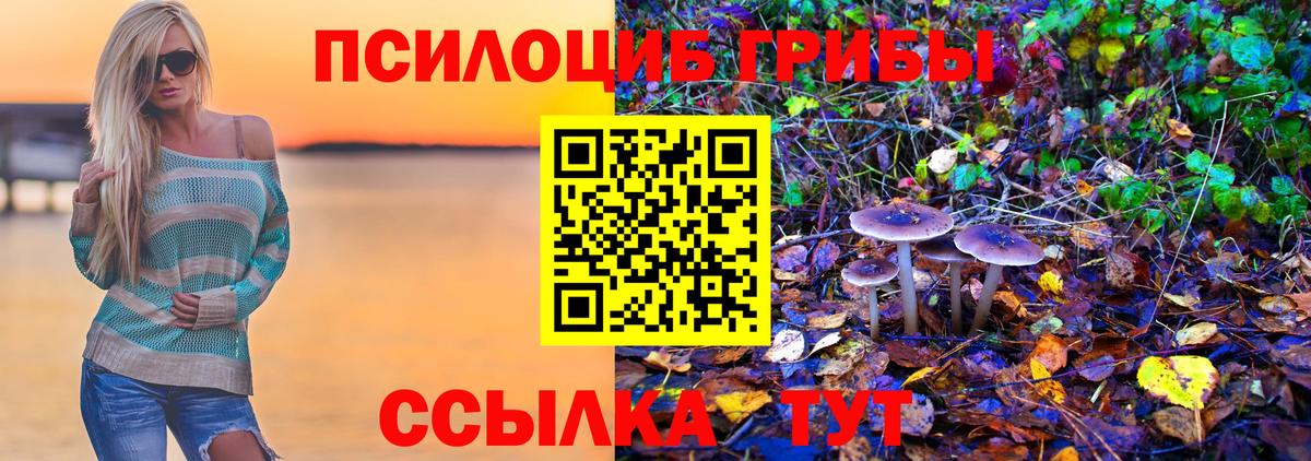 Псилоцибиновые грибы MAGIC MUSHROOMS  Вход с VPN  Галлюциногенные грибы Psilocybine cubensis  Нижнекамск 