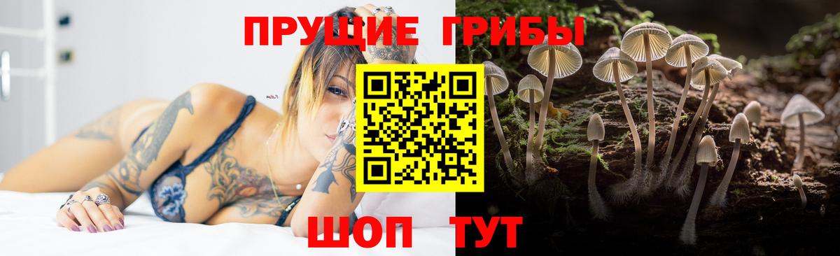 Галлюциногенные грибы ЛСД Нижнекамск