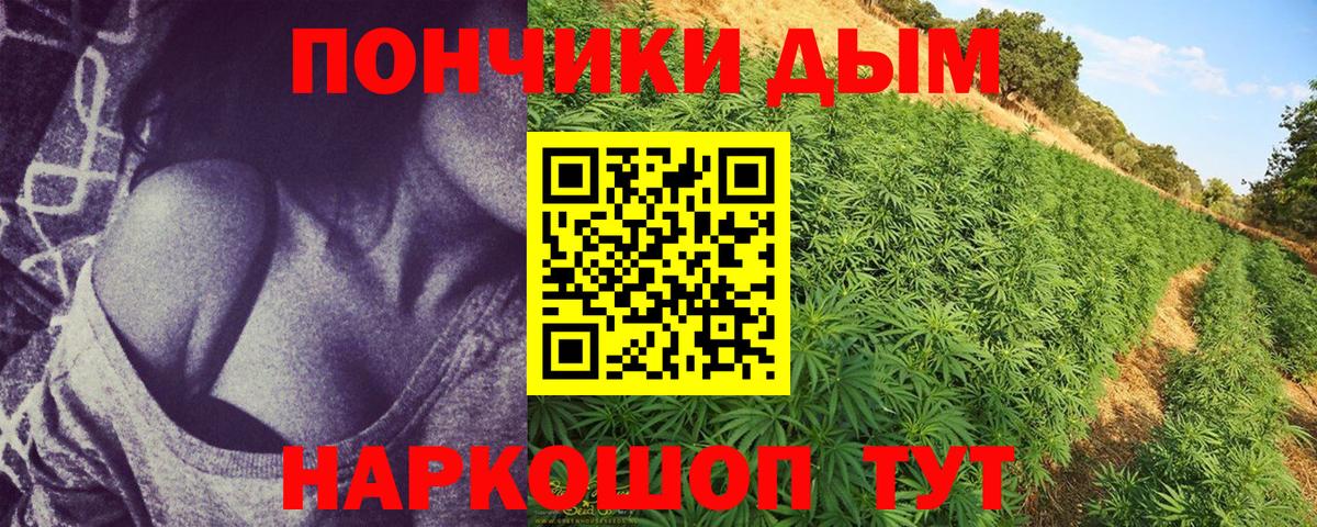 МАРИХУАНА ГИДРОПОН Нижнекамск